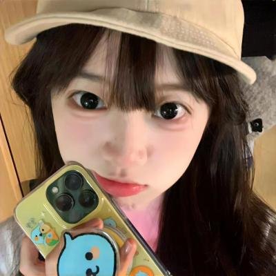 雪落时你向南飞